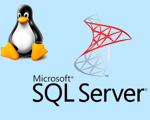 How to create a script to backup mssql database on the Linux server