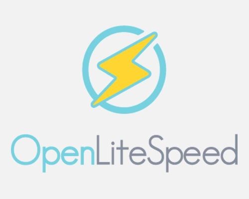 how to check version openlitespeed on linux